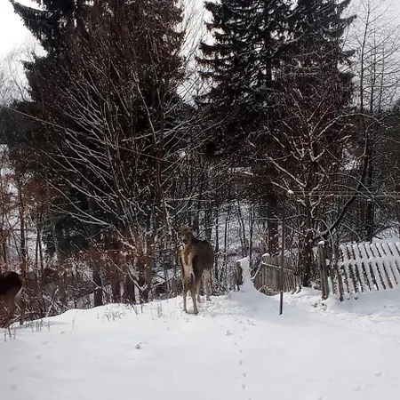 Na Slowackiego9m7 Дом отдыха Шклярска-Поремба