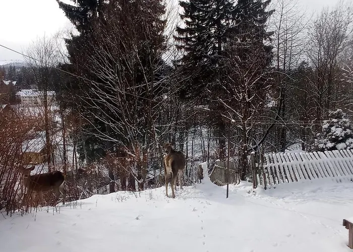 Na Slowackiego9m7 Feriehus Szklarska Poręba